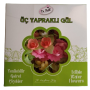 Dr. Grande rose gaufrée Gusto (25 roses 75 pétales)